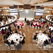 Gary Hyatt Photo 23