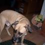 Debbie Roach Photo 30