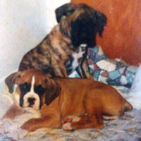 Nancy Currie Photo 27