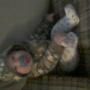 Jason Willard Photo 40