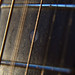 Bud Dutton Photo 3