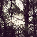 Luz Cook Photo 11