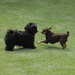 Linda Sealy Photo 20