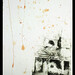 Elizabeth Dries Photo 12