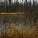 Stephen Forest Photo 16