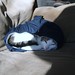 Will Short Photo 33