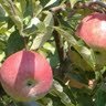 Nancy Tilley Photo 27