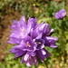 Dick Mitchell Photo 4