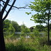 Jane Hartz Photo 6