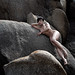 Sandy Martinez Photo 5