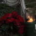 Donald Parker Photo 31