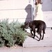 Sheryl Duke Photo 16