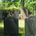 Joseph Warren Photo 23