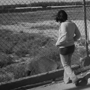 Ana Reynoso Photo 34