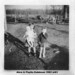 Phyllis Robinson Photo 14