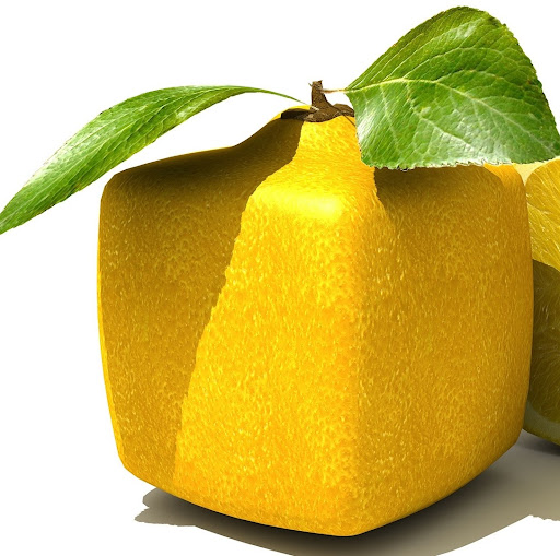 Dan Lemon Photo 30