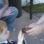 Stephanie Tew Photo 15