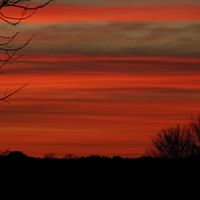 Annette Gass Photo 4