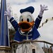 Donald Foster Photo 19
