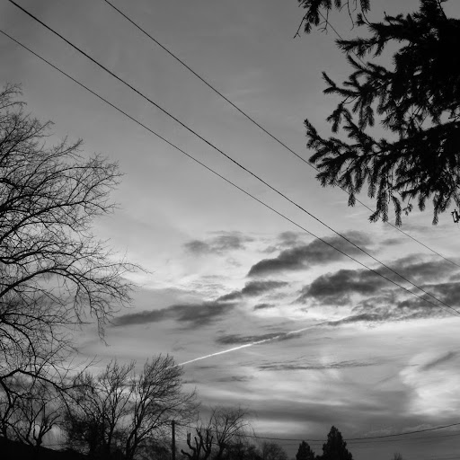 Lynn Halstead Photo 8