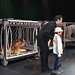Thomas Ricks Photo 20