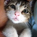 Bonnie Link Photo 6