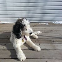 Connie Hargreaves Photo 9