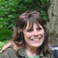 Deborah Halpin Photo 8