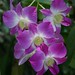 Kathleen Ford Photo 30