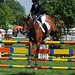 Debbie Callaway Photo 19