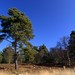 Roger Heath Photo 35