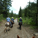 Nancy Mule Photo 11