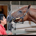 Whitney Chestnut Photo 6