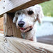Sam Smiley Photo 24
