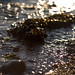 Jenny Mount Photo 10