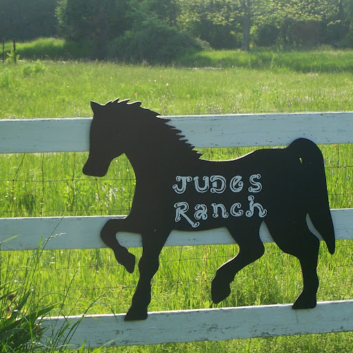 Judy Larson Photo 23