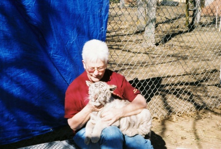Judy Adams Photo 12