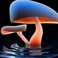Tina Tuttle Photo 16