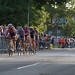 Robert Hoekstra Photo 15