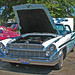 Gary Dowell Photo 15