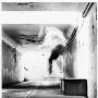 Steven Wolfe Photo 26