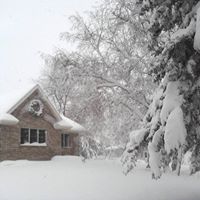 Lisa Ziegler Photo 37