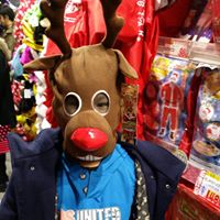 Ting Spencer Photo 11