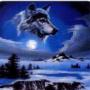 Michael Doty Photo 26