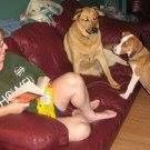Dawn Schell Photo 31