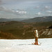 Alan Meyers Photo 25