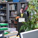 David Jeffreys Photo 19