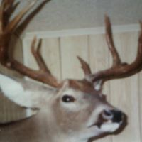 Ronald Hamby Photo 1