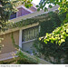 Ann O'Brien Photo 17