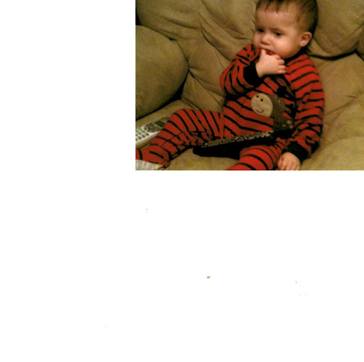 David Theobald Photo 14